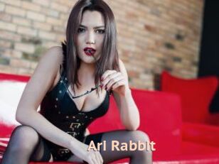 Ari_Rabbit