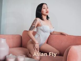 Asian_Fly