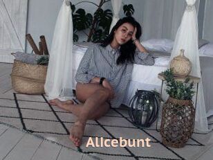 Alicebunt