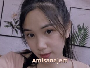 Amisanajem