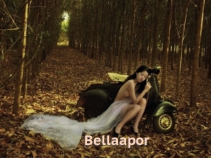 Bellaapor