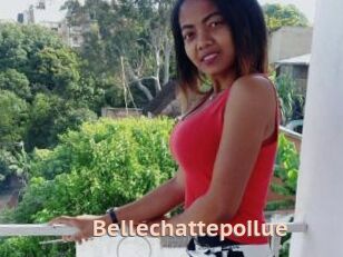 Bellechattepoilue