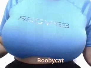 Boobycat