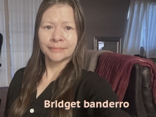 Bridget_banderro
