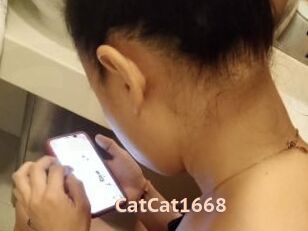 CatCat1668