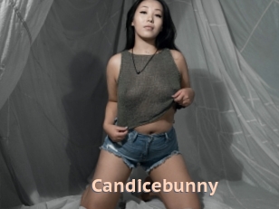 Candicebunny