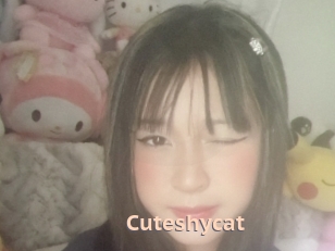 Cuteshycat