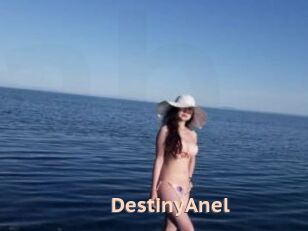 DestinyAnel