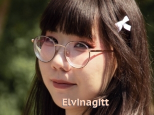 Elvinagitt
