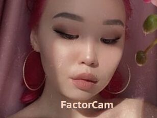 FactorCam