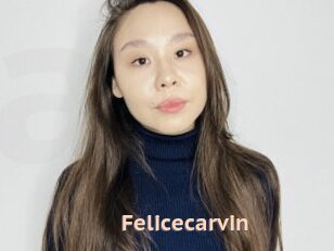 Felicecarvin