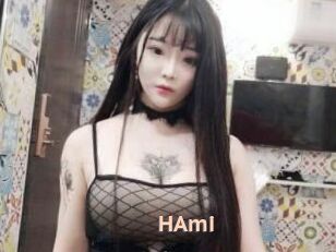 HAmi