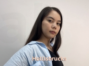 Hollisbrucks