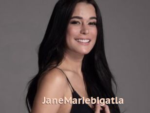 JaneMariebigatla