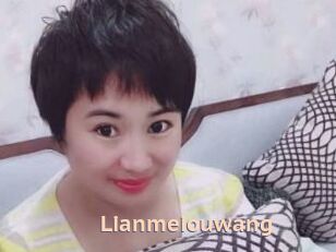 Lianmeiouwang