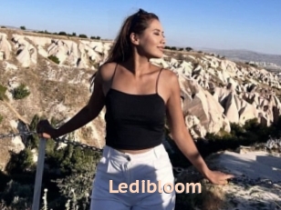 Ledibloom