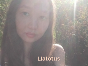 Lialotus