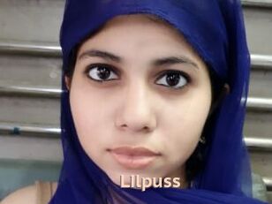 Lilpuss