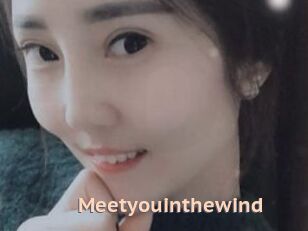 Meetyouinthewind