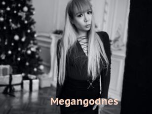 Megangodnes