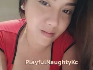PlayfulNaughtyKc