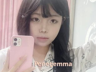 Penegemma