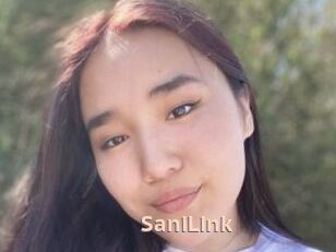 SaniLink
