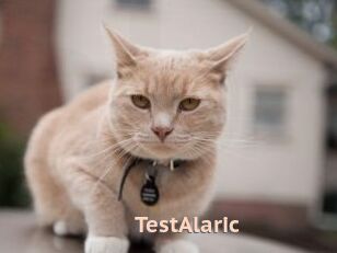 TestAlaric