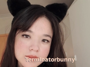 Terminatorbunny