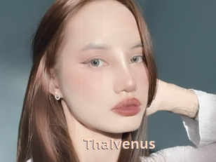 Thaivenus