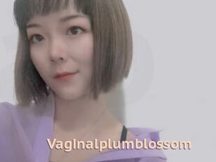 Vaginalplumblossom