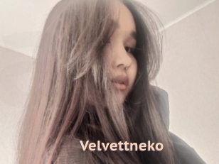 Velvettneko