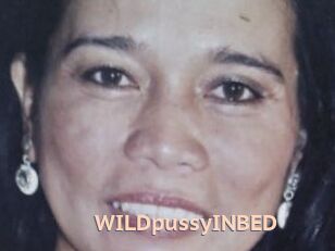 WILDpussyINBED