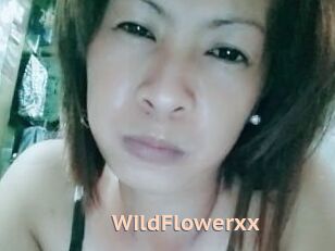 WildFlowerxx