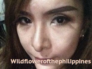 Wildflowerofthephilippines
