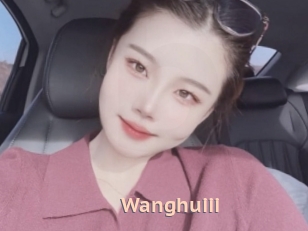 Wanghuiii