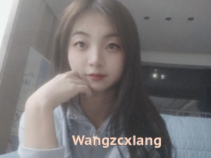 Wangzcxiang