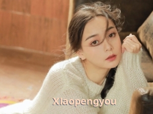 Xiaopengyou