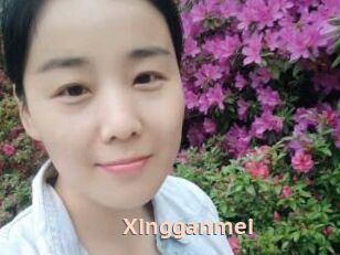 Xingganmei