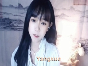 Yangxue
