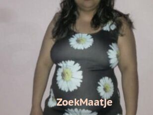 ZoekMaatje