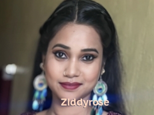 Ziddyrose